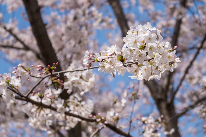 čínský deník blog fotografky foto ivet k iveta krausova Gucun park Šanghaj