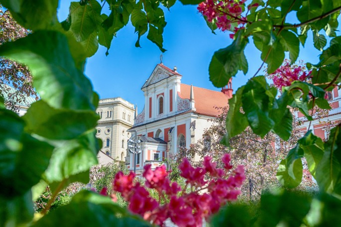 foceni církevní svatby fotoivetk lifestylove foceni fotograf mlada boleslav