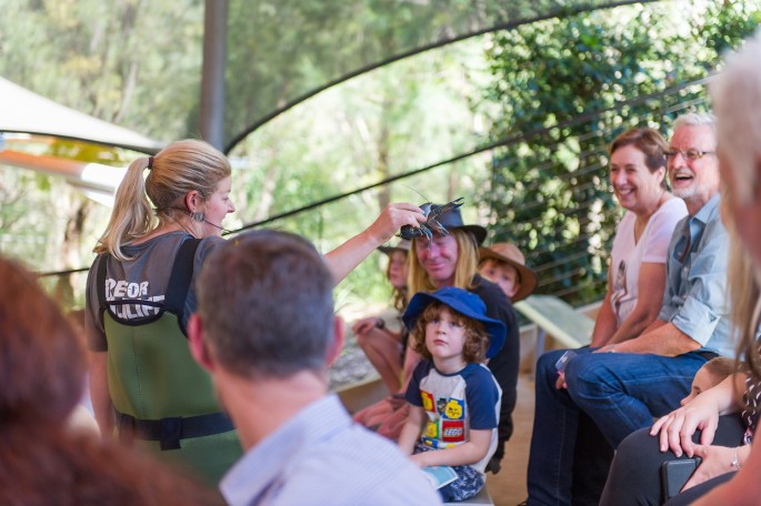 Healesville Sanctuary Austrálie ptakopysk