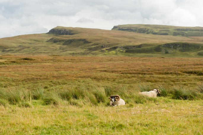 blog o cestování do Skotska - ostrov Skye a Skyeskyns