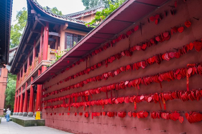 čínský deník blog fotografky foto ivet k iveta krausova panda base chengdu giant buddha leshan china