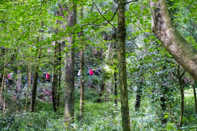 čínský deník blog fotografky foto ivet k iveta krausova mount qingcheng chengdu sichuan