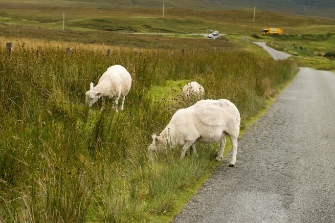 blog o cestování do Skotska - ostrov Skye