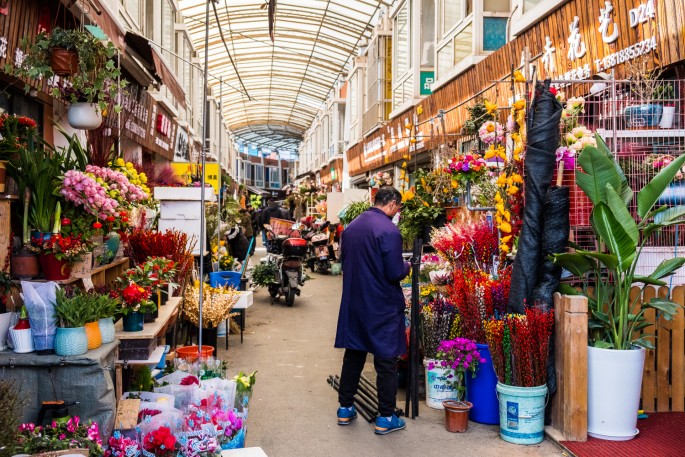 čínský deník blog fotografky foto ivet k iveta krausova hmyzí zvířecí trh Lanling