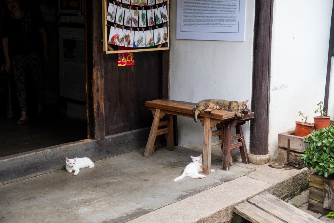 čínský deník blog fotografky foto ivet k iveta krausova Fengjing town Peasant painters village Shanghai