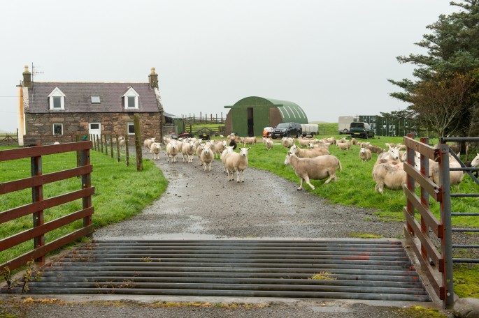 blog o cestování do Skotska - z Ullapool na Orkney