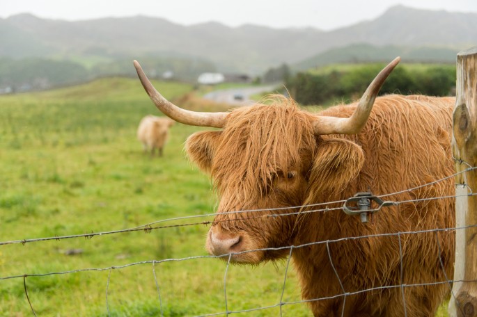 blog o cestování do Skotska - z Ullapool na Orkney