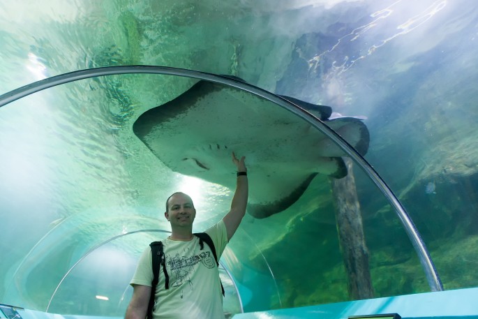 Manly Sydney Sealife aquarium