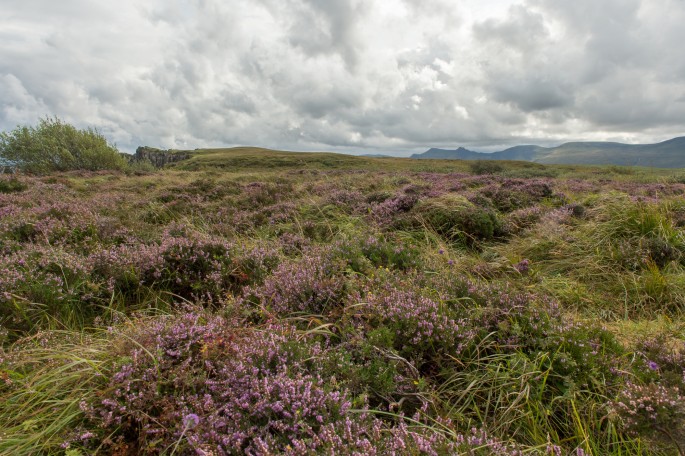 blog o cestování do Skotska - ostrov Skye a Skyeskyns