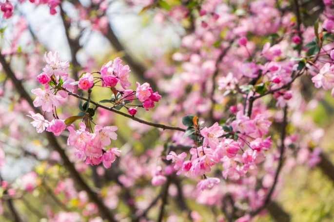 čínský deník blog fotografky foto ivet k iveta krausova Gucun park Šanghaj