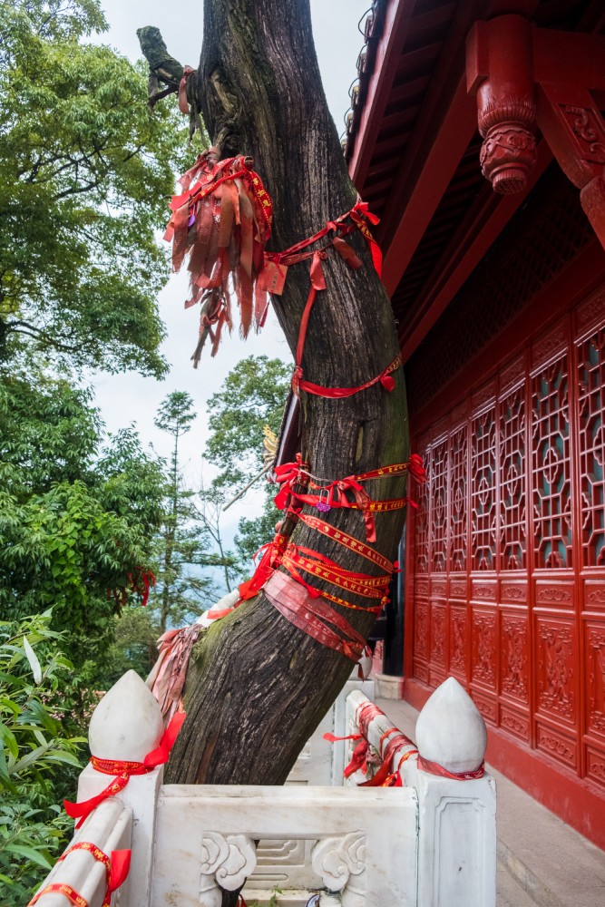 čínský deník blog fotografky foto ivet k iveta krausova mount qingcheng chengdu sichuan