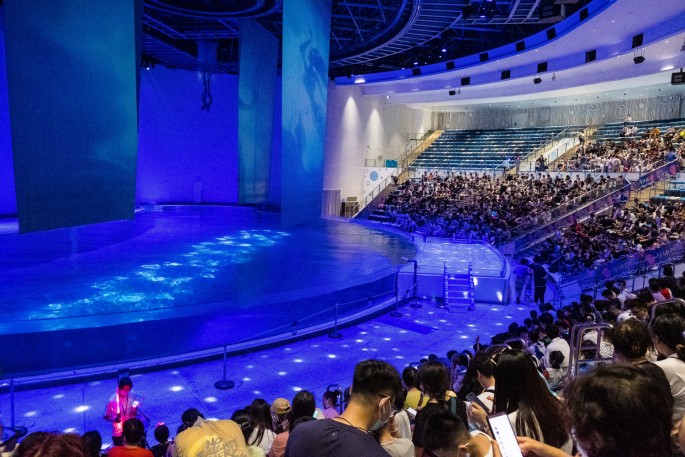 čínský deník blog fotografky foto ivet k iveta krausova ocean park shanghai