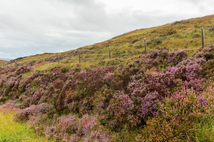 blog o cestování do Skotska - ostrov Skye a Skyeskyns