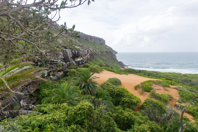 palm beach australie