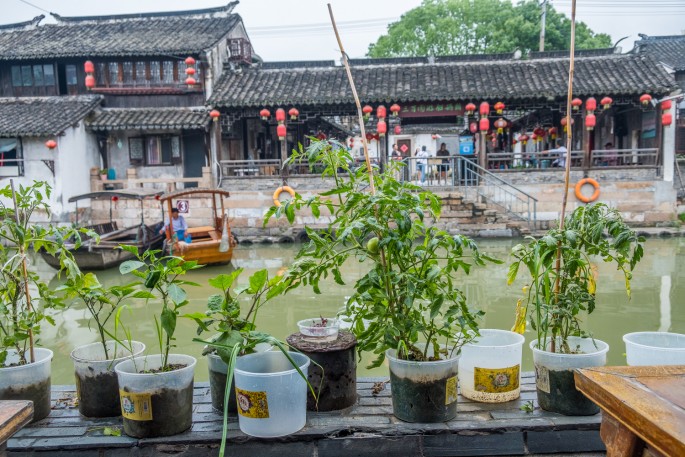 čínský deník blog fotografky foto ivet k iveta krausova Fengjing town Peasant painters village Shanghai