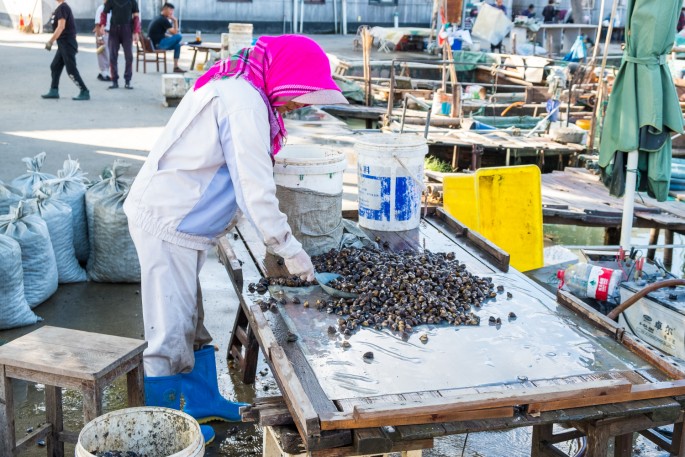 čínský deník blog fotografky foto ivet k iveta krausova rybářská vesnička