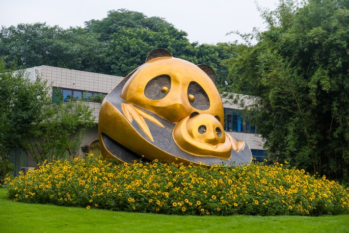 čínský deník blog fotografky foto ivet k iveta krausova panda base chengdu giant buddha leshan china