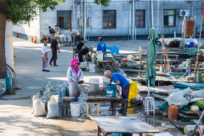 čínský deník blog fotografky foto ivet k iveta krausova rybářská vesnička