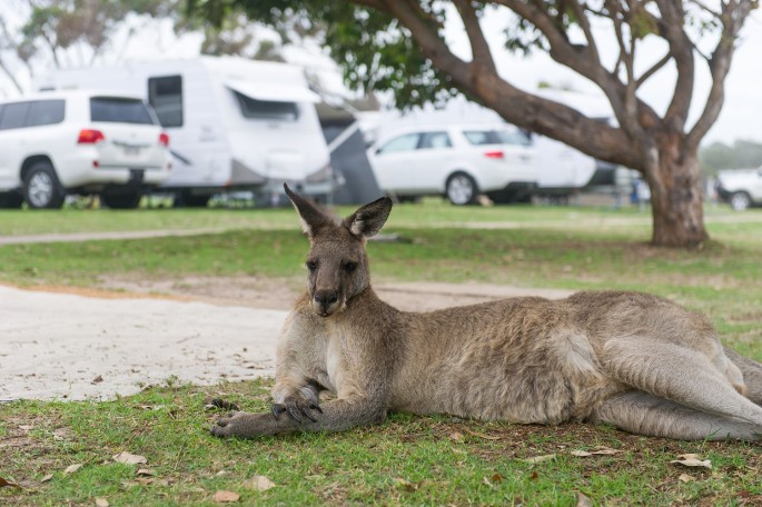 pambula beach klokan