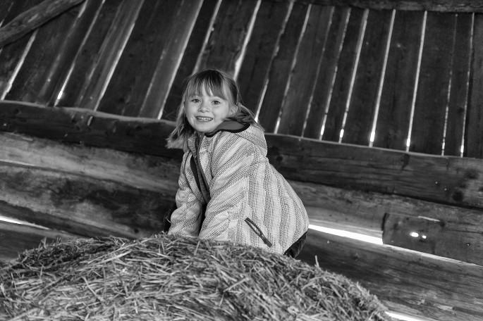 děti koně ve stodole a venkov 