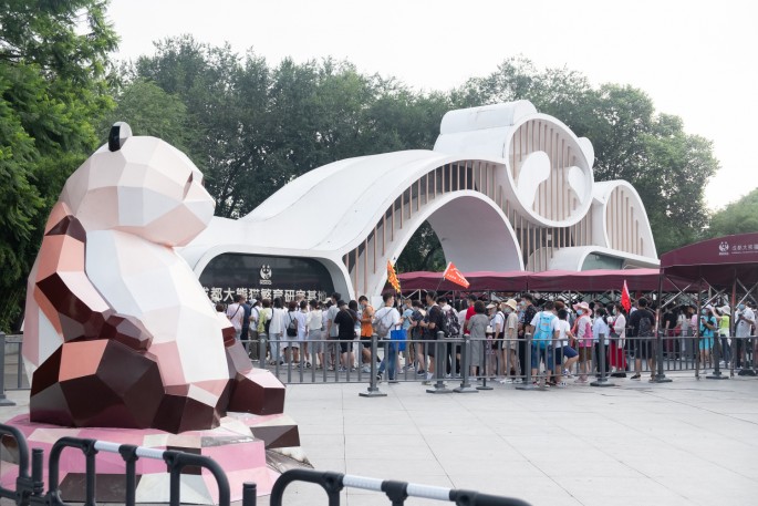 čínský deník blog fotografky foto ivet k iveta krausova panda base chengdu giant buddha leshan china