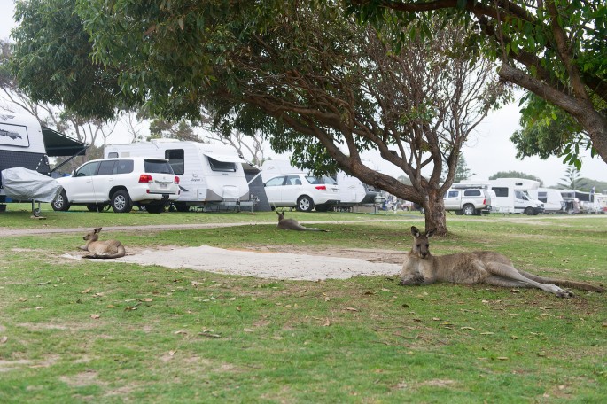 pambula beach klokan