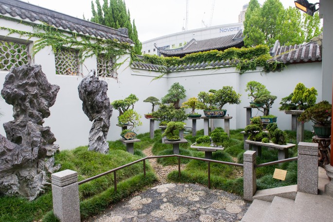 čínská zahrada sydney