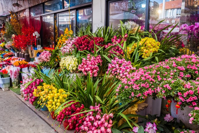 čínský deník blog fotografky foto ivet k iveta krausova hmyzí zvířecí trh Lanling