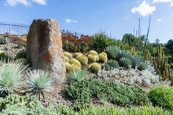 Melbourne Royal Botanic Gardens Victoria botanická