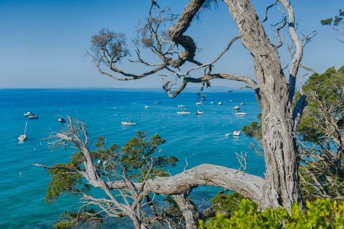 Sorrento 