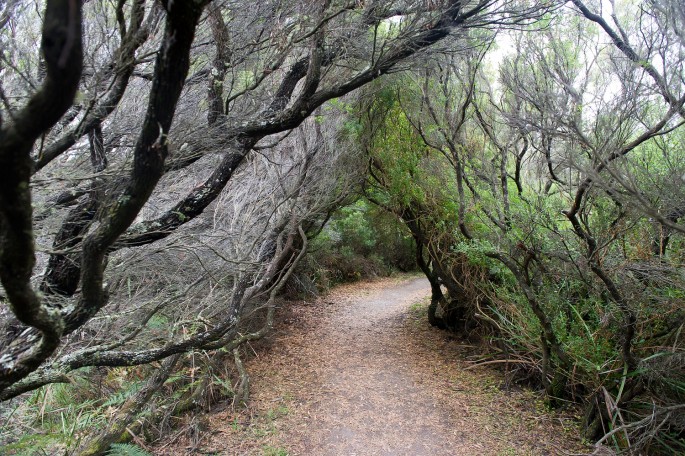 Great Ocean Walk