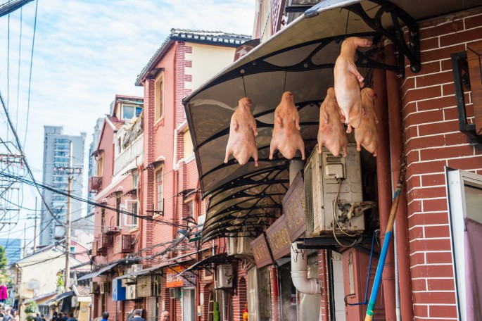 čínský deník blog fotografky foto ivet k iveta krausova uličky kolem yuyuan garden