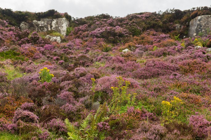 blog o cestování do Skotska - ostrov Skye a Skyeskyns