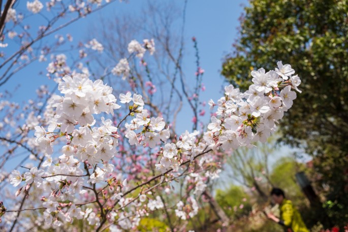 čínský deník blog fotografky foto ivet k iveta krausova Gucun park Šanghaj