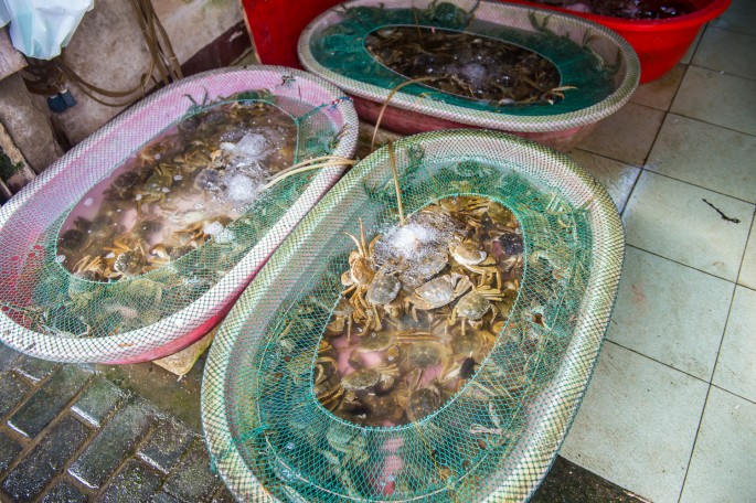 čínský deník blog fotografky foto ivet k iveta krausova uličky kolem yuyuan garden