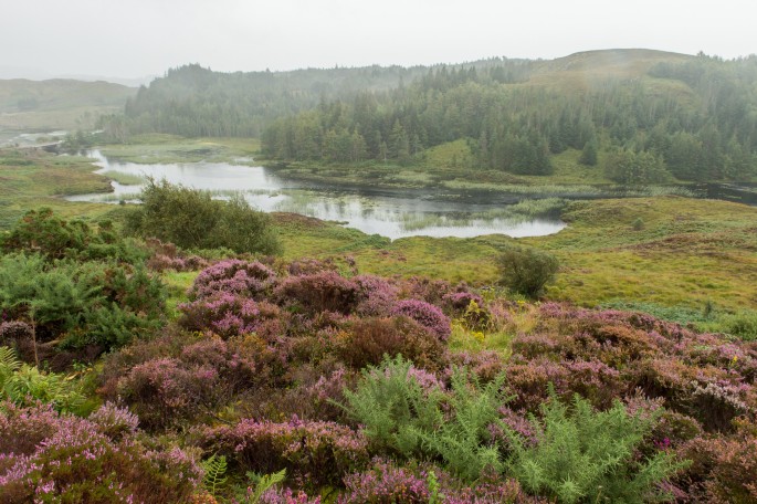 blog o cestování do Skotska - z Ullapool na Orkney