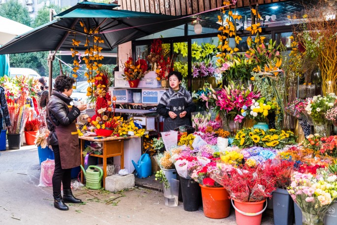 čínský deník blog fotografky foto ivet k iveta krausova hmyzí zvířecí trh Lanling