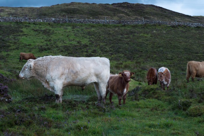 blog o cestování do Skotska - ostrov Skye a Skyeskyns