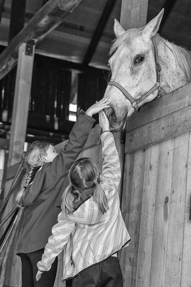 děti koně ve stodole a venkov 