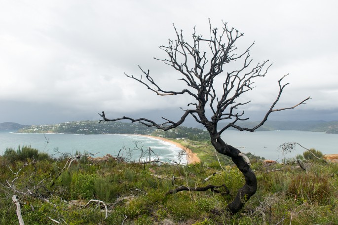 palm beach australie