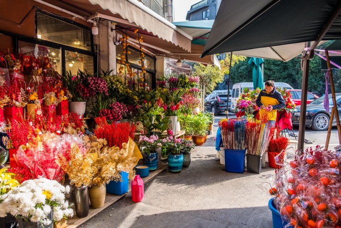 čínský deník blog fotografky foto ivet k iveta krausova hmyzí zvířecí trh Lanling