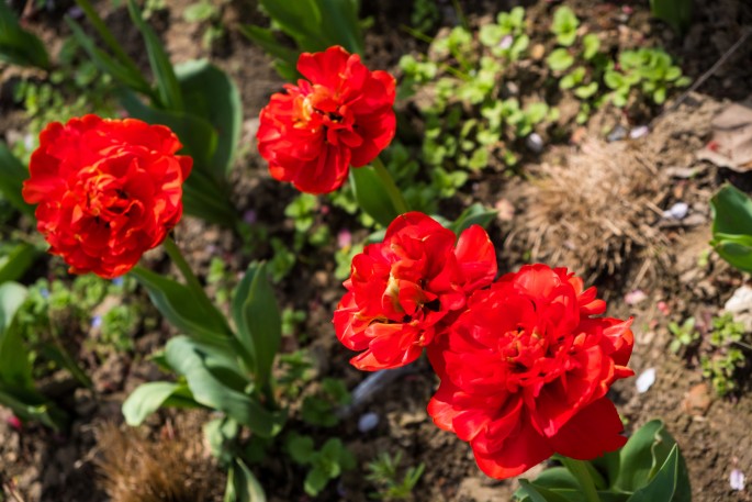 čínský deník blog fotografky foto ivet k iveta krausova Gucun park Šanghaj