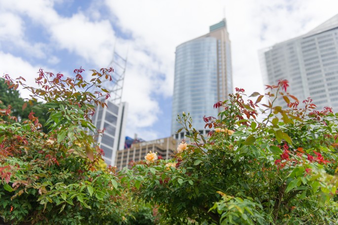 Sydney Botanical Garden