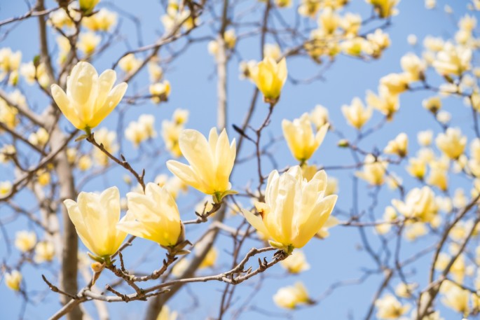 čínský deník blog fotografky foto ivet k iveta krausova Gucun park Šanghaj