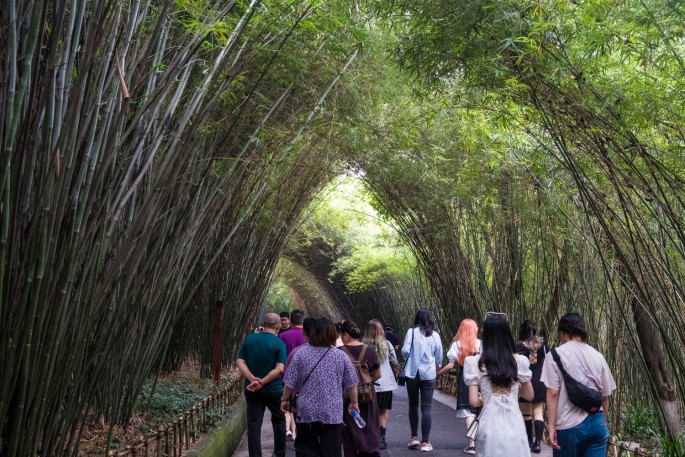 čínský deník blog fotografky foto ivet k iveta krausova panda base chengdu giant buddha leshan china