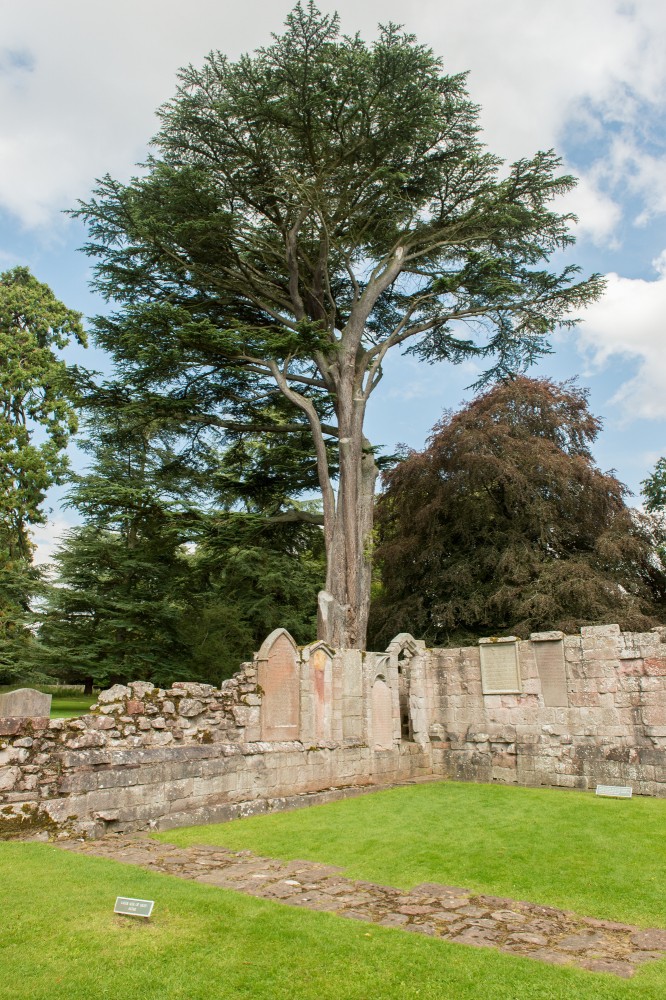 blog o cestování do Skotska - oblast Borders Dryburgh Abbey