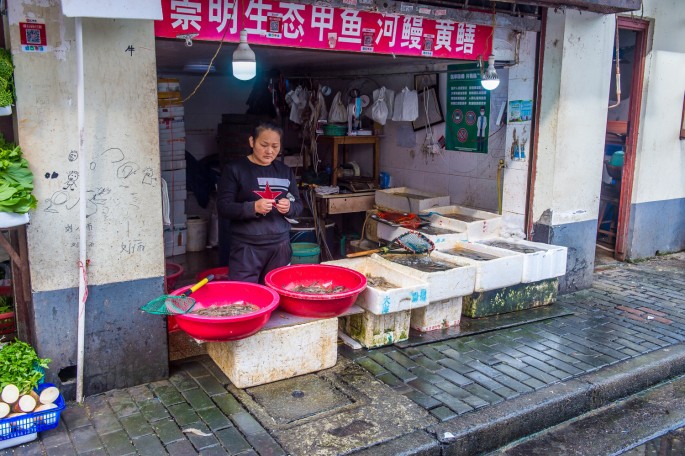 čínský deník blog fotografky foto ivet k iveta krausova uličky kolem yuyuan garden