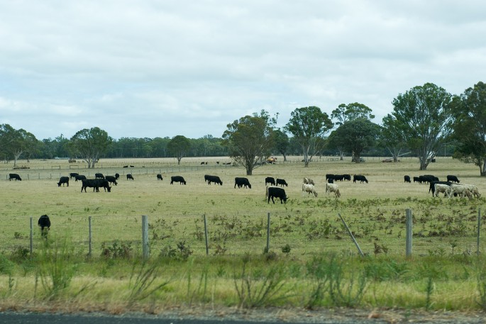 krajina australie