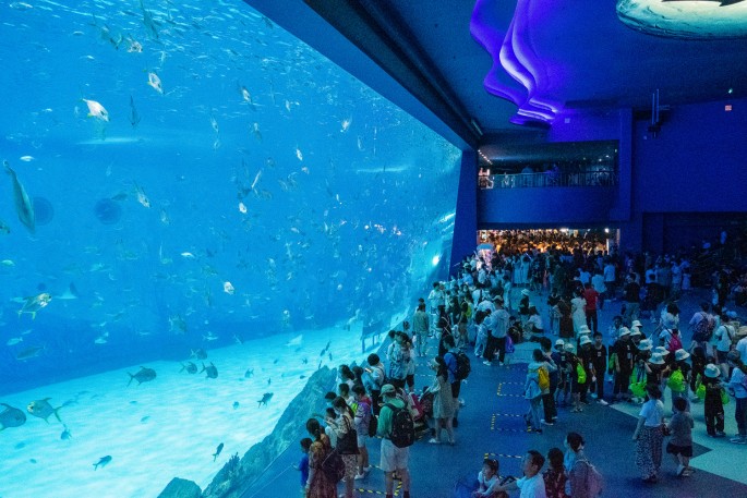 čínský deník blog fotografky foto ivet k iveta krausova ocean park shanghai