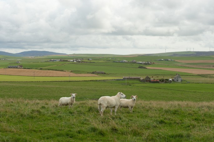 blog o cestování do Skotska - Orkney